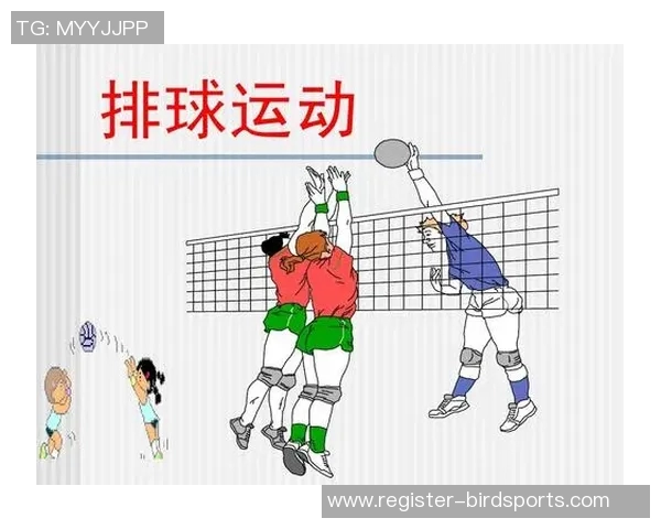 上海排球队技术分析与发展探讨聚焦排球运动的未来与挑战