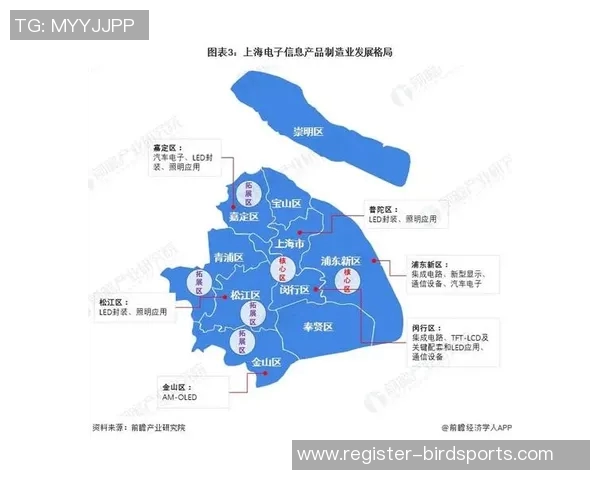 深入解析上海篮球队战术布局与比赛策略的全景观察