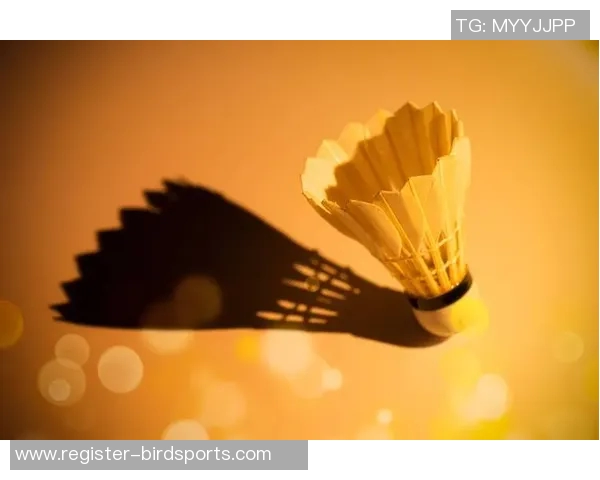 深入分析深圳羽毛球队阵地战战术及其在比赛中的应用策略