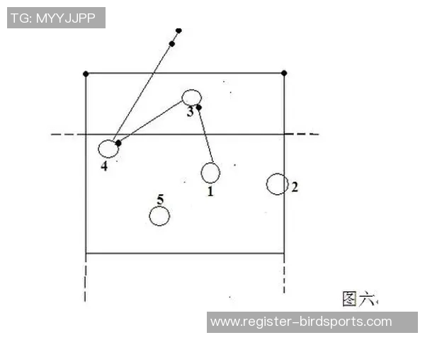 深圳排球队的排球战术与欧冠足球节奏体系的深度解析与对比 深圳排球队的排球战术与欧冠足球节奏体系的深度解析与对比