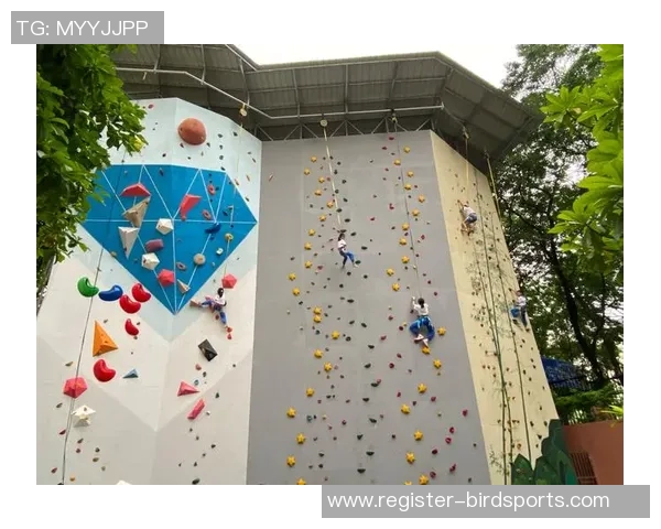 南京攀岩队心理素质提升之路探索运动攀岩的挑战与成长